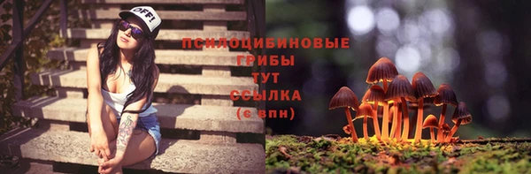 гашик Богданович