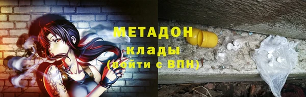 гашик Богданович